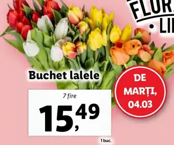 Lidl Buchet lalele Ofertă