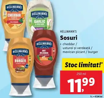 Lidl HELLMANN'S Sosuri Ofertă