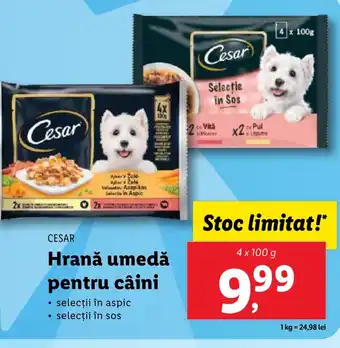 Lidl CESAR Hrană umedă pentru câini Ofertă