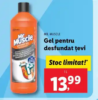 Lidl MR. MUSCLE Gel pentru desfundat ţevi Ofertă