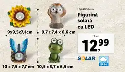 Lidl LIVARNO home Figurinǎ solară cu LED Ofertă