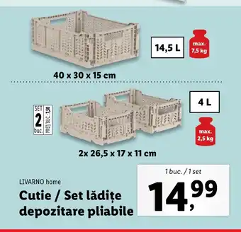 Lidl LIVARNO home Cutie / Set lădițe depozitare pliabile Ofertă