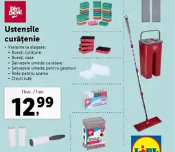 Lidl Ustensile curăţenie Ofertă