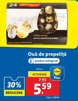 Lidl Ouă de prepeliţă Ofertă