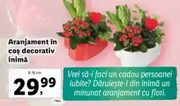 Lidl Aranjament în cos decorativ inimă Ofertă