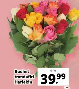 Lidl Buchet trandafiri Harlekin Ofertă