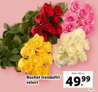 Lidl Buchet trandafiri select Ofertă