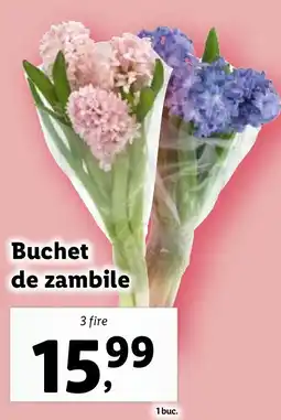 Lidl Buchet de zambile Ofertă