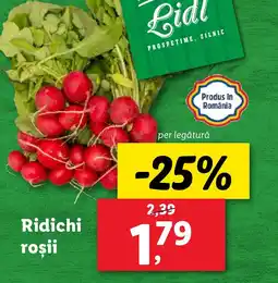 Lidl Ridichi roşii Ofertă