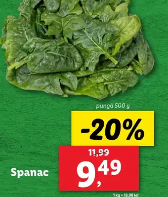 Lidl Spanac Ofertă