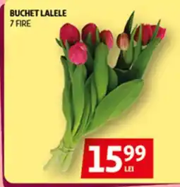 Auchan Buchet lalele Ofertă