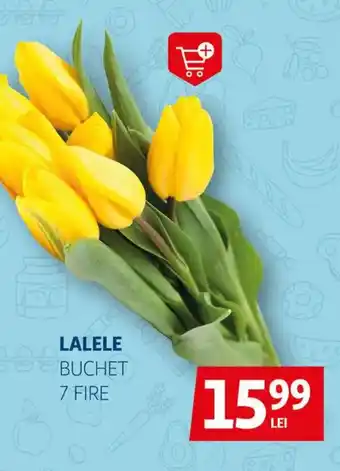 Auchan Lalele Buchet Ofertă