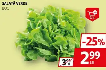 Auchan Salată verde Ofertă