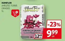 Auchan HUMIFLOR Amestec turbå orhidee Ofertă