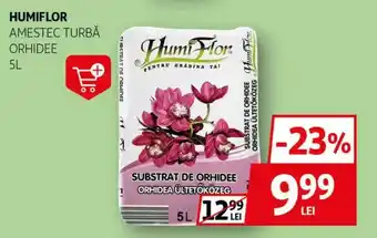 Auchan HUMIFLOR Amestec turbå orhidee Ofertă