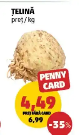 Penny Telină Ofertă
