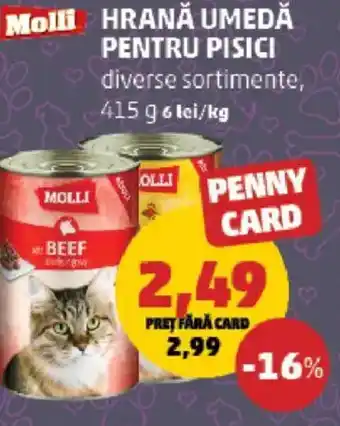 Penny MOLLI Hrană umedă pentru pisici Ofertă