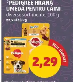 Penny PEDIGREE Hrană umedă pentru câini Ofertă