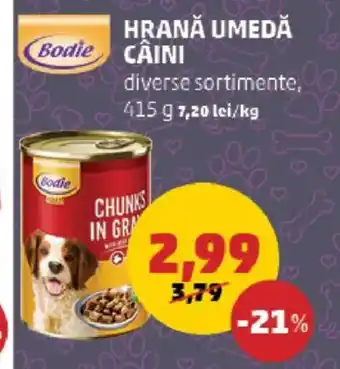 Penny BODIE Hrana umedă câini Ofertă