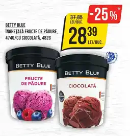 Mega Image BETTY BLUE Înghețată fructe de pădure,/cu ciocolată Ofertă