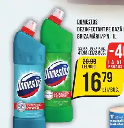 Mega Image DOMESTOS Dezinfectant pe bază de clor, briza mării/pin Ofertă