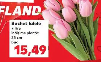 Kaufland Buchet lalele Ofertă