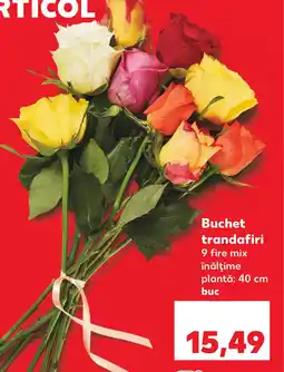 Kaufland Buchet trandafiri Ofertă