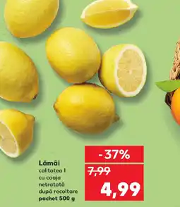 Kaufland Lămâi Ofertă