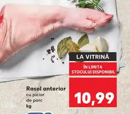 Kaufland Rasol anterior Ofertă