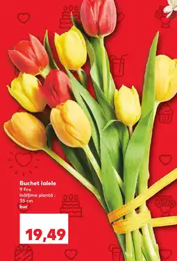 Kaufland Buchet lalele Ofertă