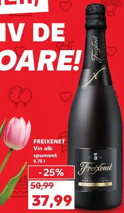 Kaufland FREIXENET Vin alb spumant Ofertă