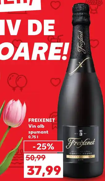 Kaufland FREIXENET Vin alb spumant Ofertă