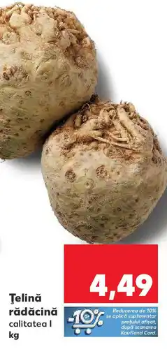 Kaufland Ţelină rădăcină Ofertă