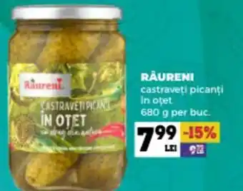 Annabella RÂURENI castraveţi picanţi In otet Ofertă