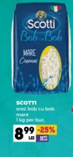 Annabella SCOTTI orez bob cu bob mare Ofertă