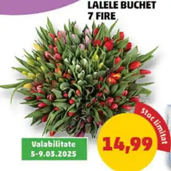 Penny Lalele buchet 7 fire Ofertă