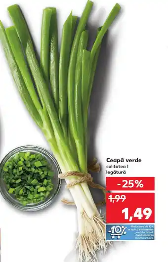 Kaufland Ceapă verde Ofertă