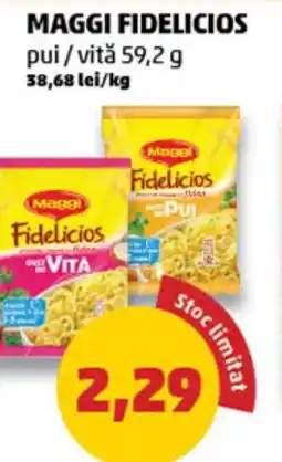 Penny Maggi fidelicios pui/vită Ofertă