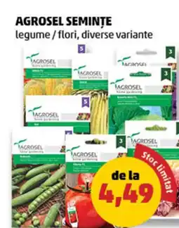Penny Agrosel seminţe Ofertă