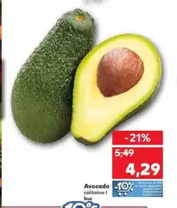 Avocado
