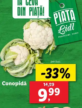 Lidl Conopidă Ofertă