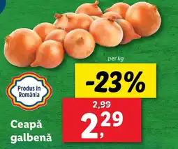 Lidl Ceapă galbenă Ofertă