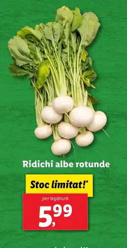 Lidl Ridichi albe rotunde Ofertă