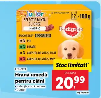 Lidl PEDIGREE Hrană umedă pentru câini Ofertă