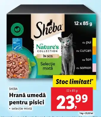 Lidl SHEBA Hrană umedă pentru pisici Ofertă