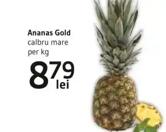 Supeco Ananas Gold Ofertă