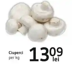 Supeco Ciuperci Ofertă