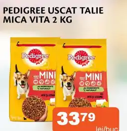 Unicarm PEDIGREE Uscat talie mica vita Ofertă