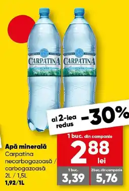 PROFI Apă minerală Carpatina Ofertă