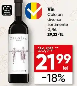 PROFI Vin Caloian Ofertă